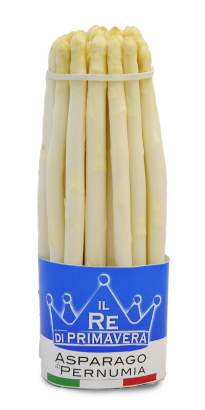 White Asparagus - 10+ caliber bunch of 1Kg - Farm Baraldo Luigino - Padua Pernumia