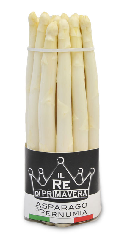 White Asparagus - 16+ caliber bunch of 1Kg - Farm Baraldo Luigino - Padua Pernumia