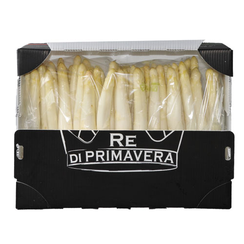 White Asparagus - 22+ caliber Pack 5kg - Farm Baraldo Luigino - Padua Pernumia