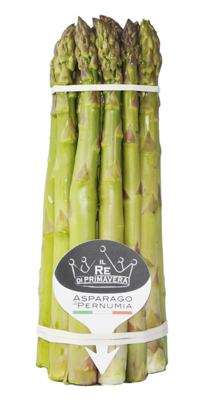 Asparagi Verdi - calibro 16+ Mazzo da 1kg - Azienda Agricola Baraldo Luigino - Pernumia Padova